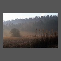 pays-brume-matinale-ORoger