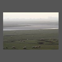 pays-estuaire-somme-MDujardin