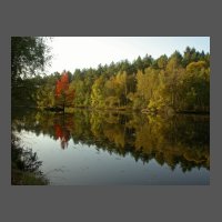 pays-marais-sologne-AChampagne